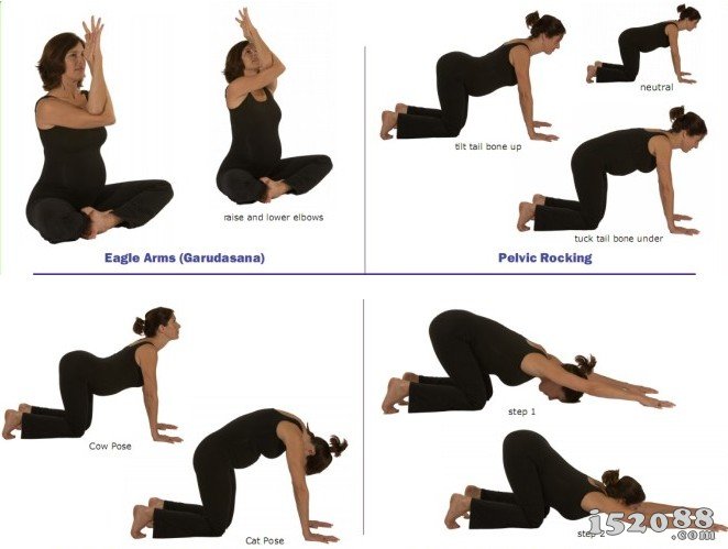 孕妇练习瑜伽 动作姿势须留心